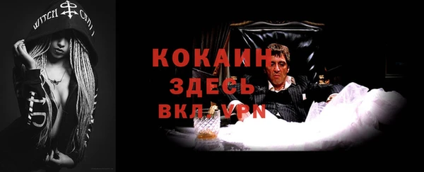 гидропоника Сясьстрой