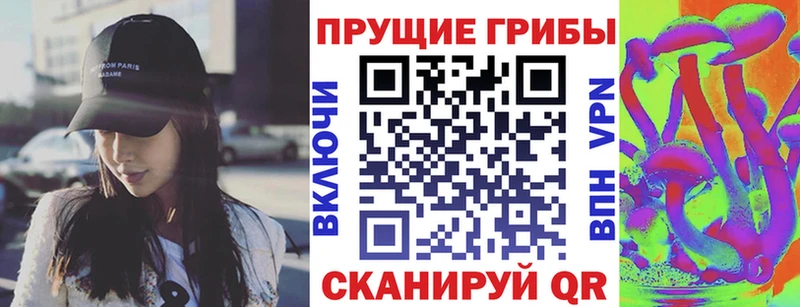 Псилоцибиновые грибы MAGIC MUSHROOMS  магазин продажи наркотиков  Красноармейск 